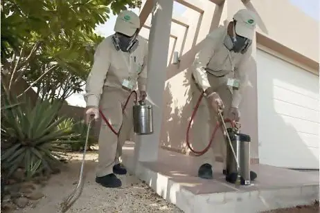 شركة رش مبيدات بالدمام