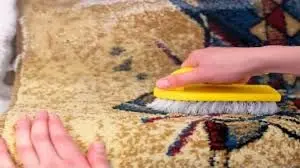 طريقة تنظيف الموكيت بسهولة 4 images 3 1
