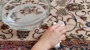 طريقة تنظيف السجاد بالبخار و ازالة اصعب البقع الشديده 4 download
