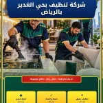 شركة تنظيف بحي الغدير بالرياض