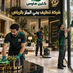 شركه تنظيف بحي الملز بالرياض